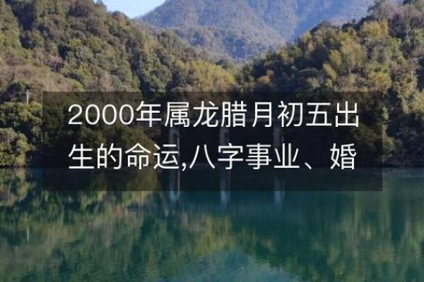 如何通过八字分析，找到破解命运困境的钥匙？