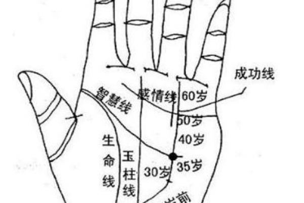 如何通过八字分析，找到破解命运困境的钥匙？