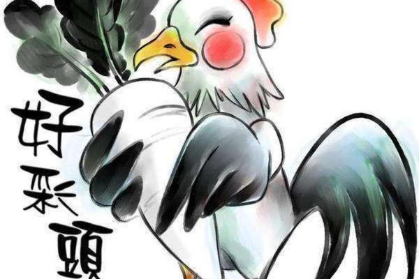兔年卯时诞生的命运与属鸡之人的特别关系