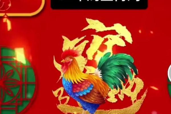 兔年卯时诞生的命运与属鸡之人的特别关系