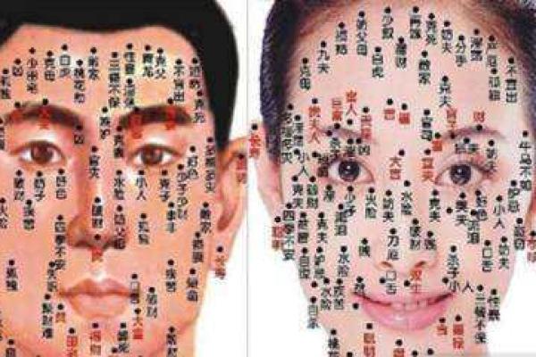 了解木命的年份与属相：探索木命人的命运之道