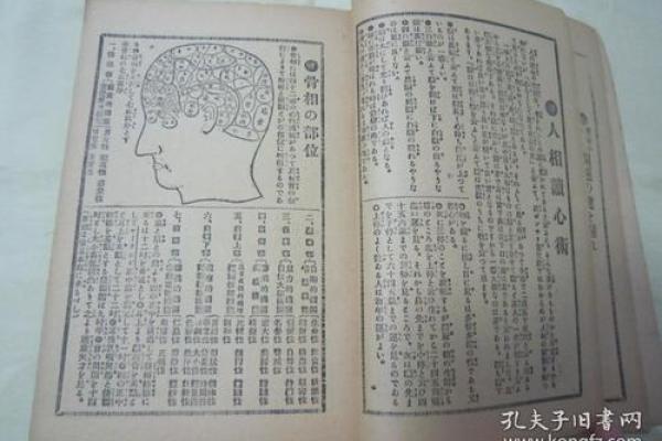 揭秘命理学中偏神的含义与应用，让你了解命运的奥秘！