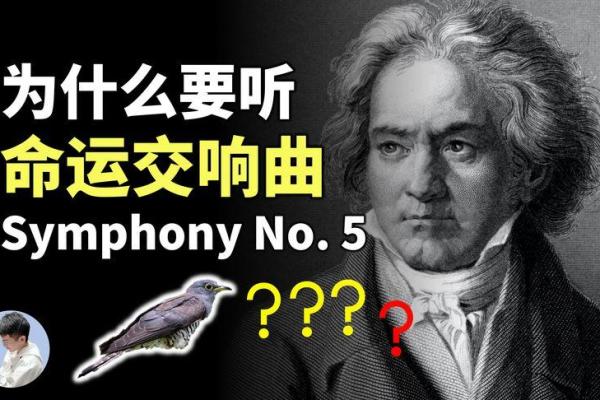 午夜时分的反思：凌晨四点多的自己与命运的交响曲