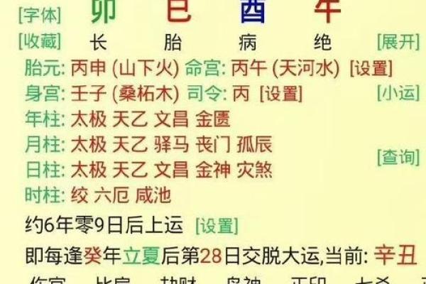 命局中的正印之意：探寻命理与人生的深刻联系