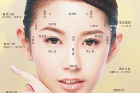 揭秘女人身上三条纹的命运奥秘,探索生活与内在的联系
