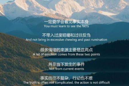 命里就是燥,揭示生活中的火热能量与挑战