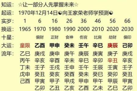 辛亥年命运解析：探索辛亥命格的性格与人生轨迹