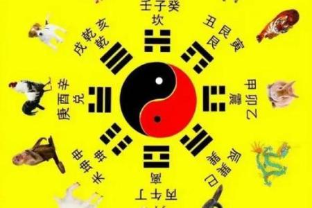 女命婚姻宫财星旺:探秘幸福婚姻的深层密码
