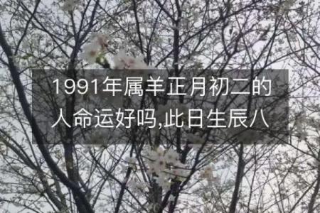 农历十月初二出生的人:命运的独特轨迹与性格揭秘