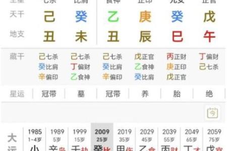 探索女命正印：为何藏于地支之中？