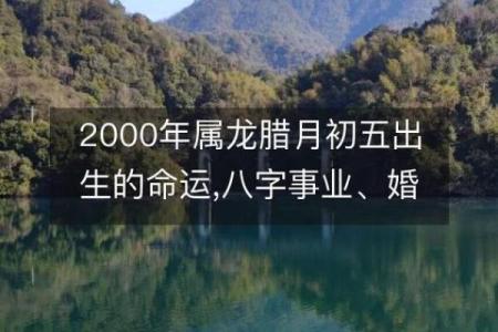 如何通过八字分析,找到破解命运困境的钥匙?