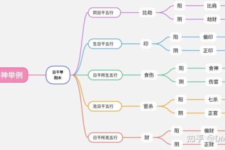 年干劫财女命解析:解读命理中的财富与挑战