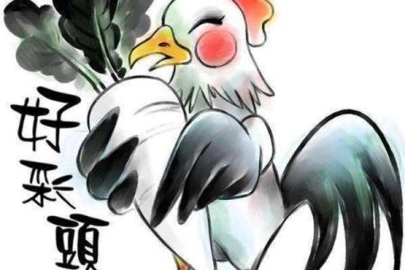 兔年卯时诞生的命运与属鸡之人的特别关系