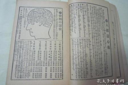 揭秘命理学中偏神的含义与应用,让你了解命运的奥秘!