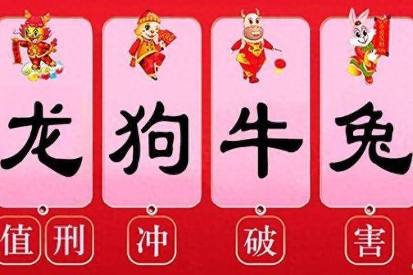 生肖属兔宝宝的命运与未来展望——2024年属兔宝宝的成长之路