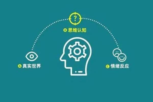 探秘九七年八月十七的命运密码，揭示人生的奥秘与启示