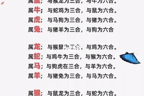 女生土兔命与美好姻缘的完美配对探析