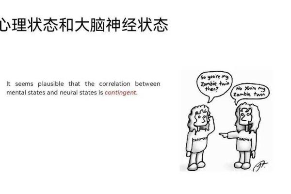 命比天高，命比纸薄：人生的哲学与智慧思考