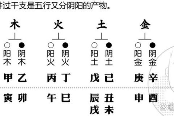 探秘两火一土：五行命理中的独特命格解析