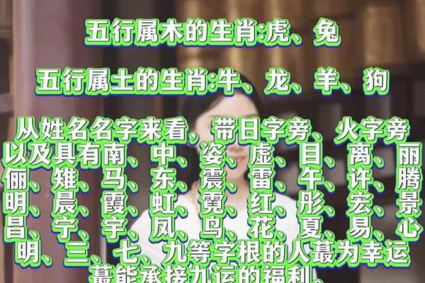 揭秘命理：你是什么命？婚配什么命最合适？
