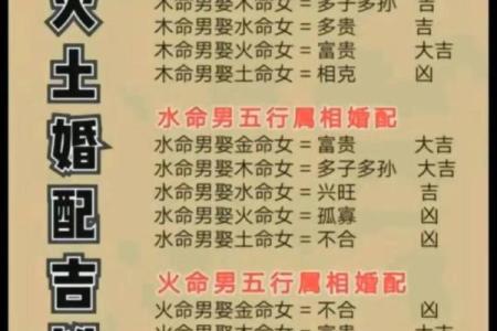 男土命与女金命的完美结合:命理中的和谐美学