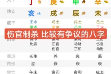 命局解析：如何根据个人八字走出最佳运势之路
