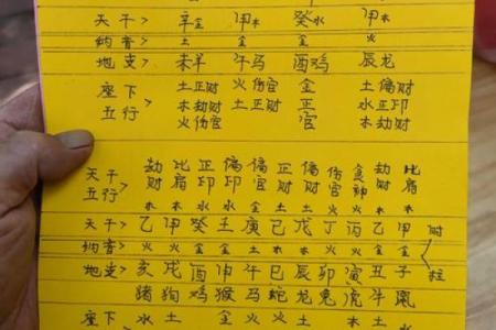 命理地支中的两个正财：深入解析与实际应用