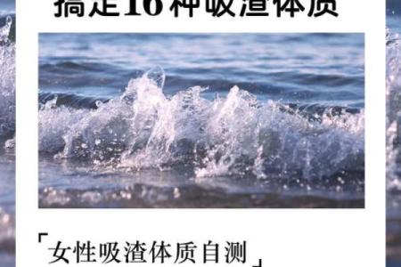 女人有二夫之命：解密情感的复杂性与选择