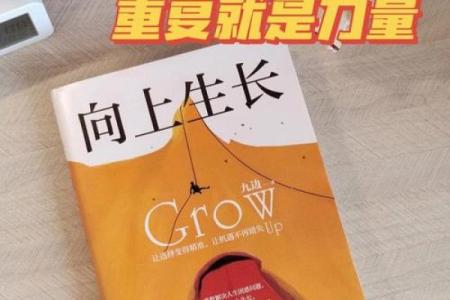 探索命带童子命的神秘面纱,揭示人生的秘密与机遇