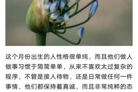 农历22日出生的人命运解析：看似平凡却蕴藏无限可能