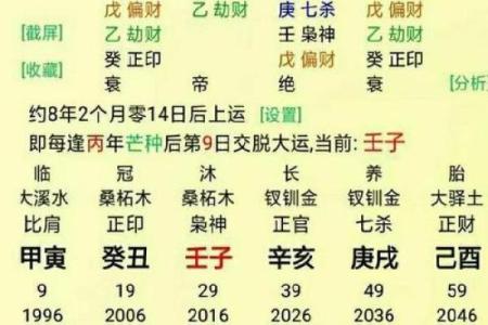 命主贪钱的八字特征与财富之道探秘