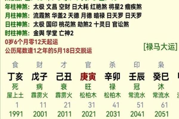 揭秘命理：如何通过出生年份分析你的命运