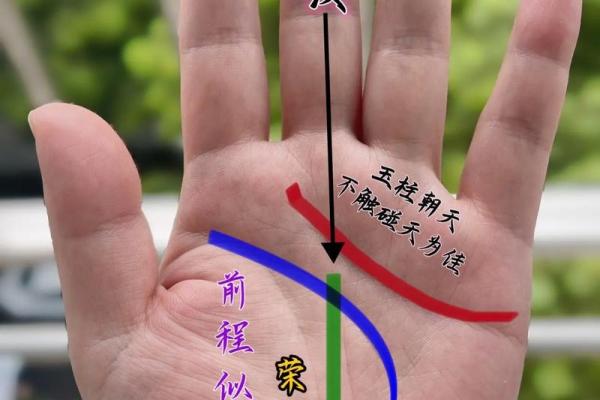 农历九日十五：揭示你命运的秘密与启示