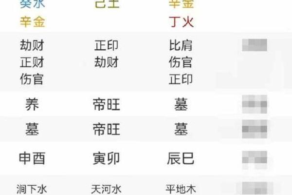 偏印男命与六亲生肖的奥秘探讨