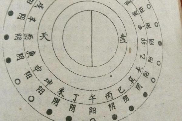 探秘命局中的坤属相：女性特质与生活智慧