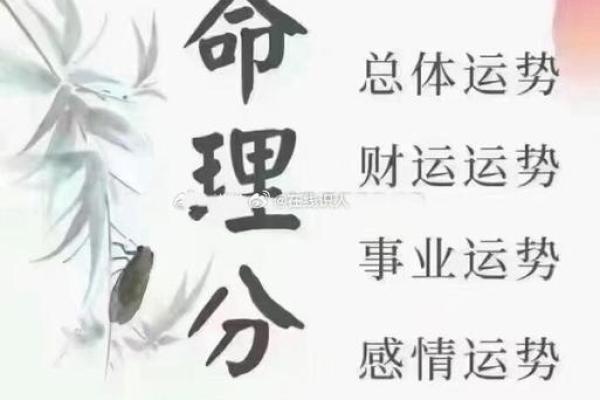 命里有男人库的命：揭秘这些女性的独特命运与人生之路