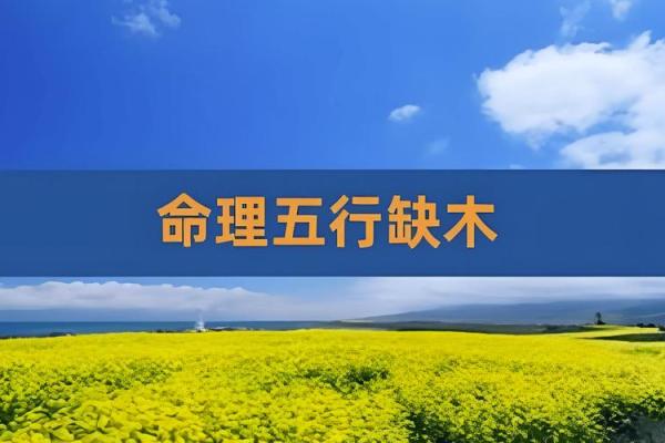 命里缺木，如何调和五行以提升运势？