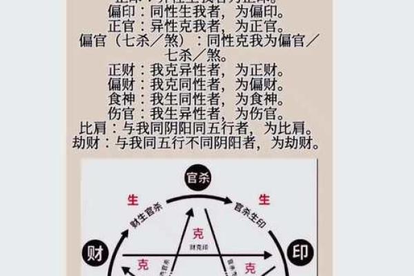 探秘男命正官比肩食神的命理象征与人生启示