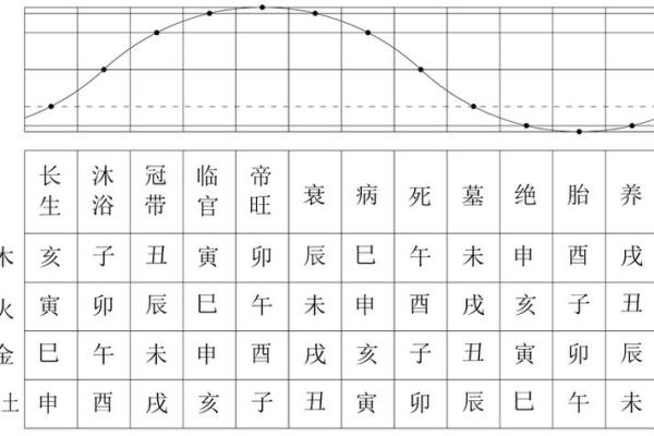 女命八字四柱与宫位解密：探寻命理之奥秘