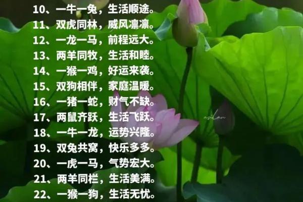 探秘禄财之命：运势与财富的奇妙关系