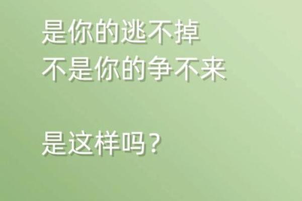 命里无得，何必强求？揭示人生的豁达与释然