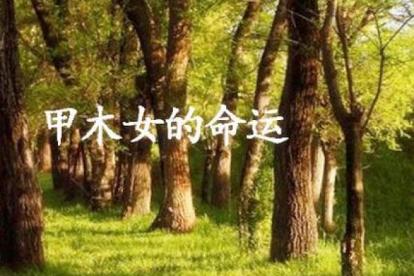 女命婚姻宫的深层含义与解读，揭示爱情与命运的奥秘