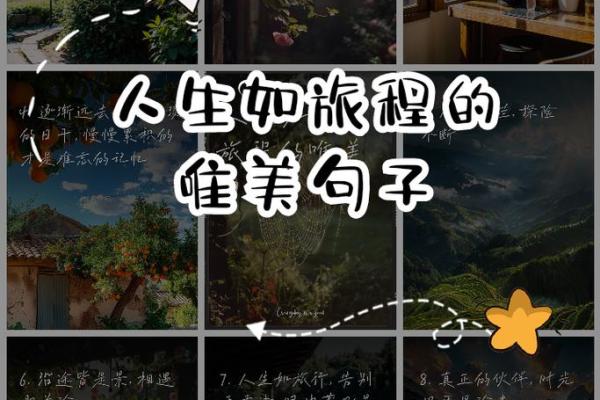 揭示葵未日柱之命：神秘而独特的人生旅程
