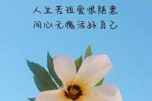 无价值的执着：拿命也换不来的人生思考