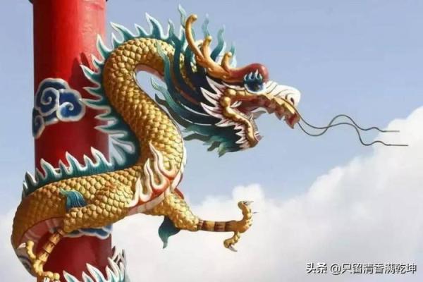 命里犯水的人适合什么瑞兽？探秘生肖与瑞兽的深厚联系