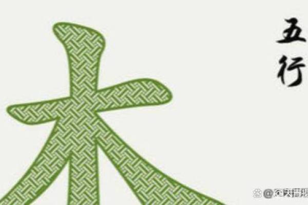 揭开命理的神秘面纱：名中带木字的人生意义探寻