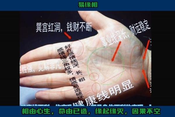 蝴蝶命女：手相中的神秘魅力与命运解析