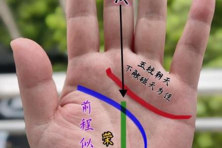 农历九日十五：揭示你命运的秘密与启示