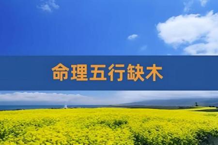 命里缺木，如何调和五行以提升运势？
