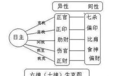 探秘男命正官比肩食神的命理象征与人生启示